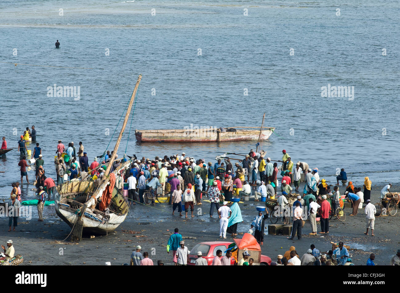 Persone che acquistano il pesce fresco da barche da pesca presso il cantiere navale in Stone Town Zanzibar Tanzania Foto Stock