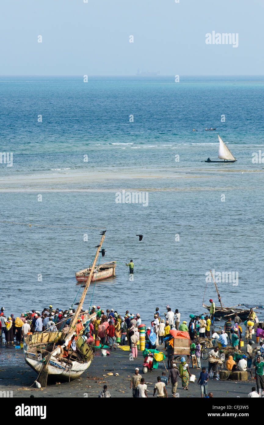 Persone che acquistano il pesce fresco da barche da pesca presso il cantiere navale in Stone Town Zanzibar Tanzania Foto Stock