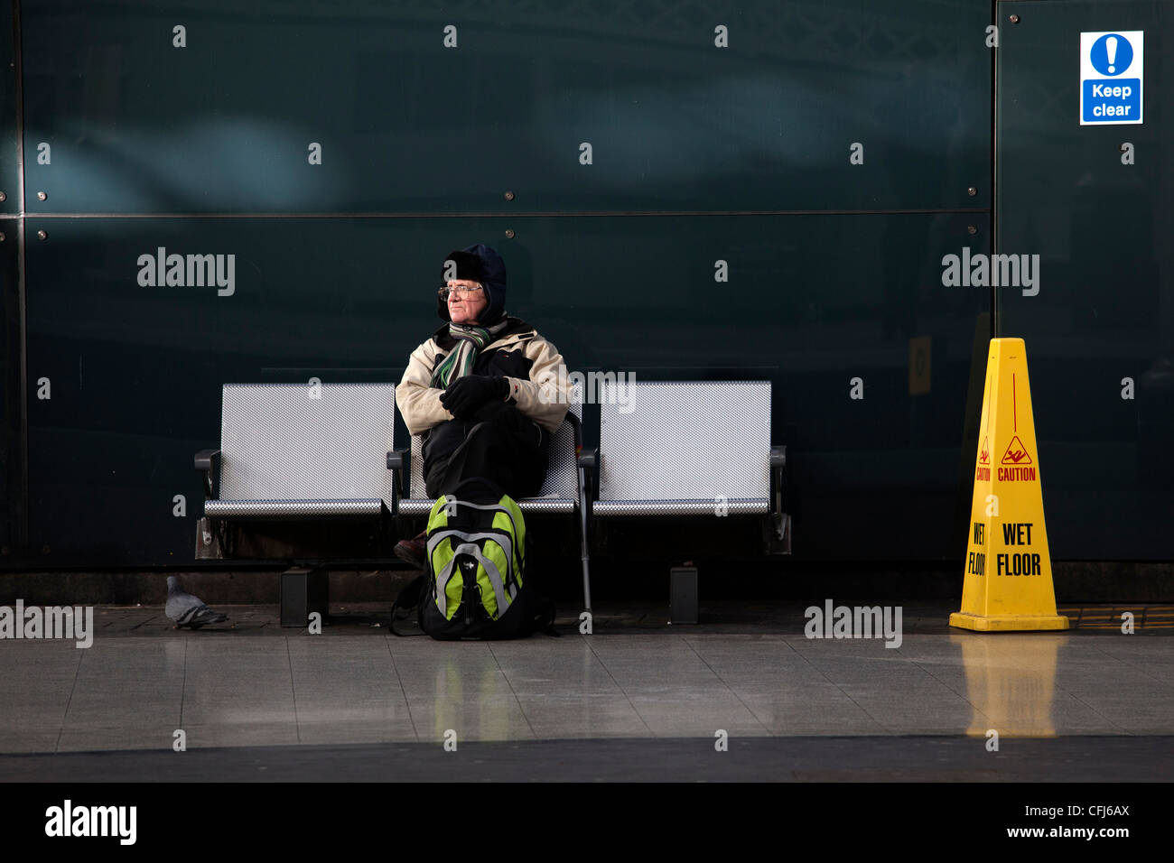 Viaggiatore e piccione, la stazione centrale di Newcastle Foto Stock