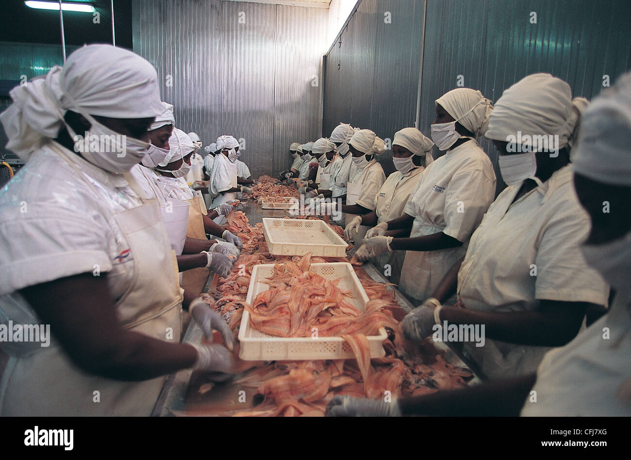 Frutti di mare fabbrica di trasformazione di lavoratori di sesso femminile Dakar in Senegal Foto Stock