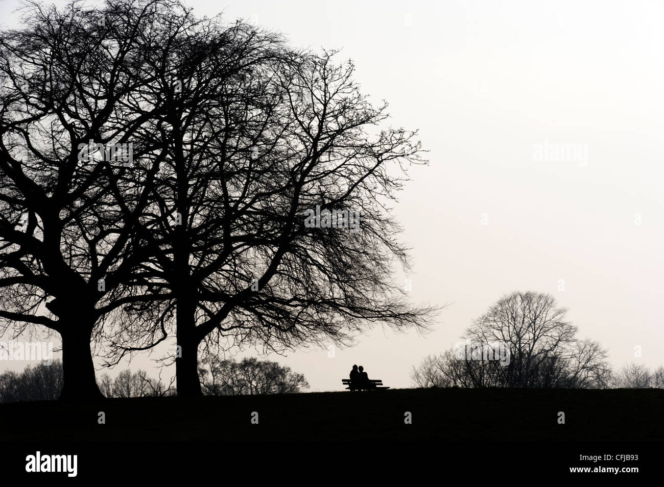 Un giovane su una panchina nel parco in Hampstead Heath North London godendo una romantica giornata insieme Foto Stock