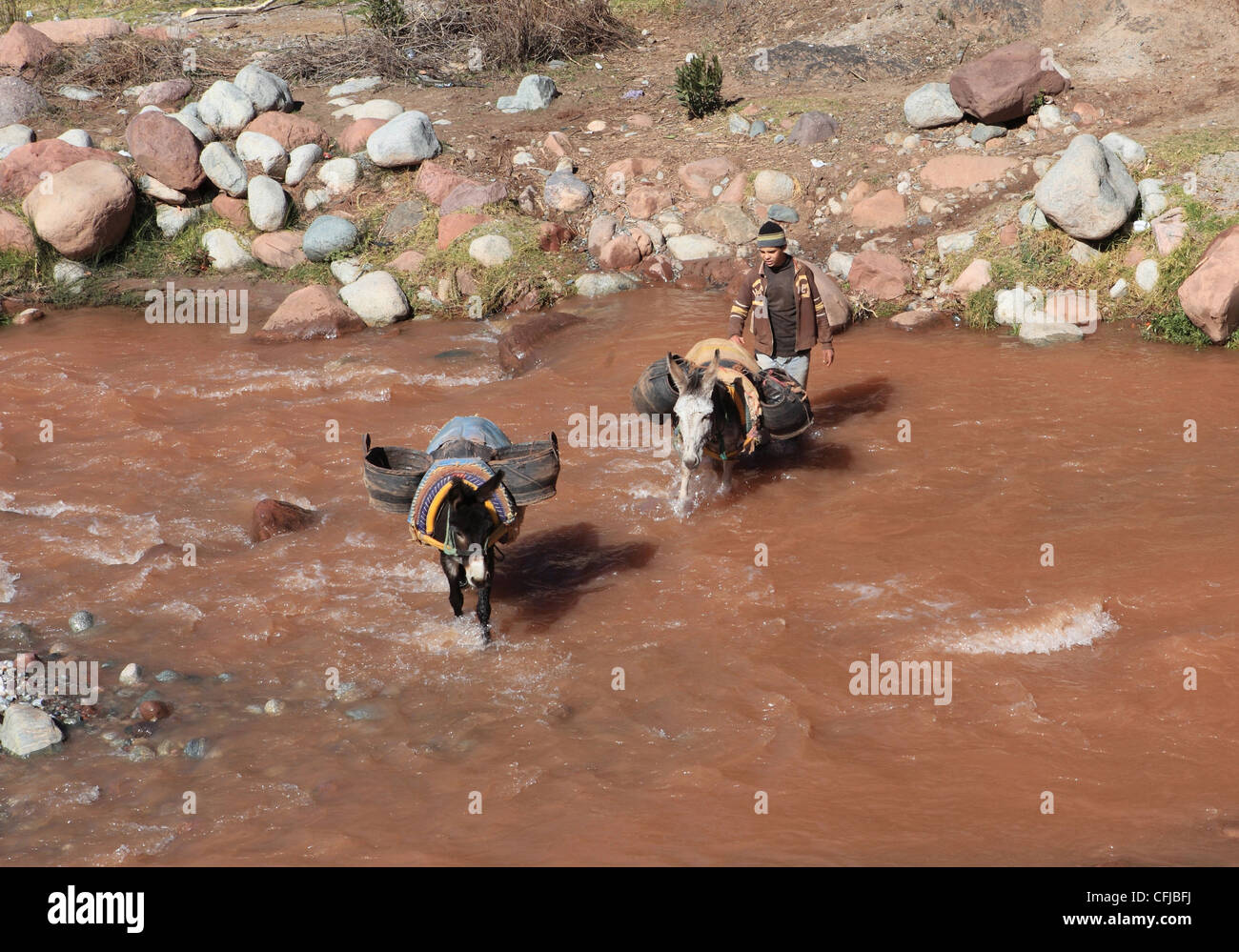 La gente del posto di lavoro la Vallee d'ourika nelle montagne Atlas in Marocco Foto Stock