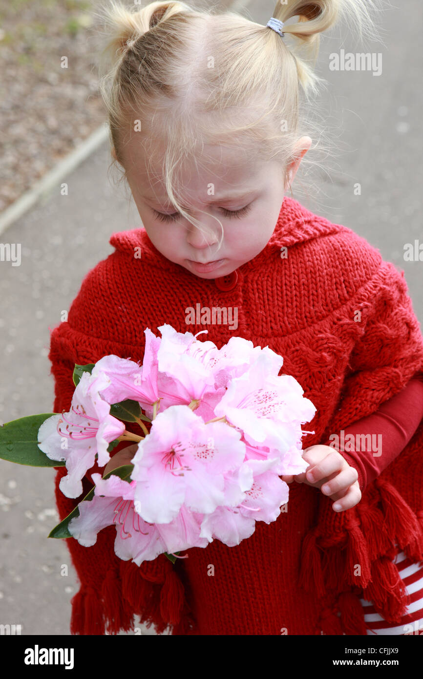 Il Toddler indossare una maglia rossa e del capo azienda e guardando un fiore Foto Stock