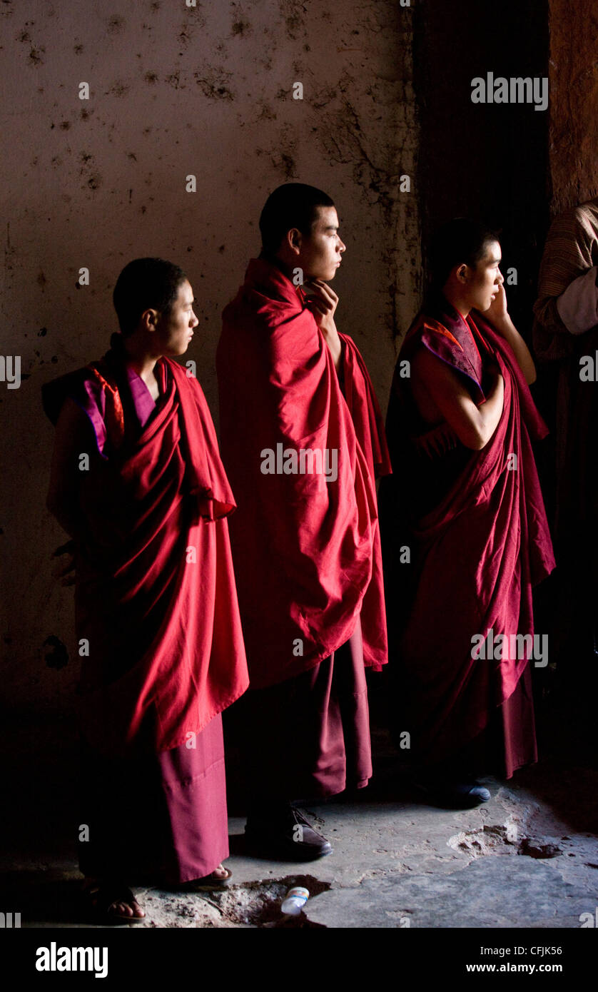 I giovani monaci buddisti, Wangdue Phodrang (Wangdi), Bhutan, Asia Foto Stock