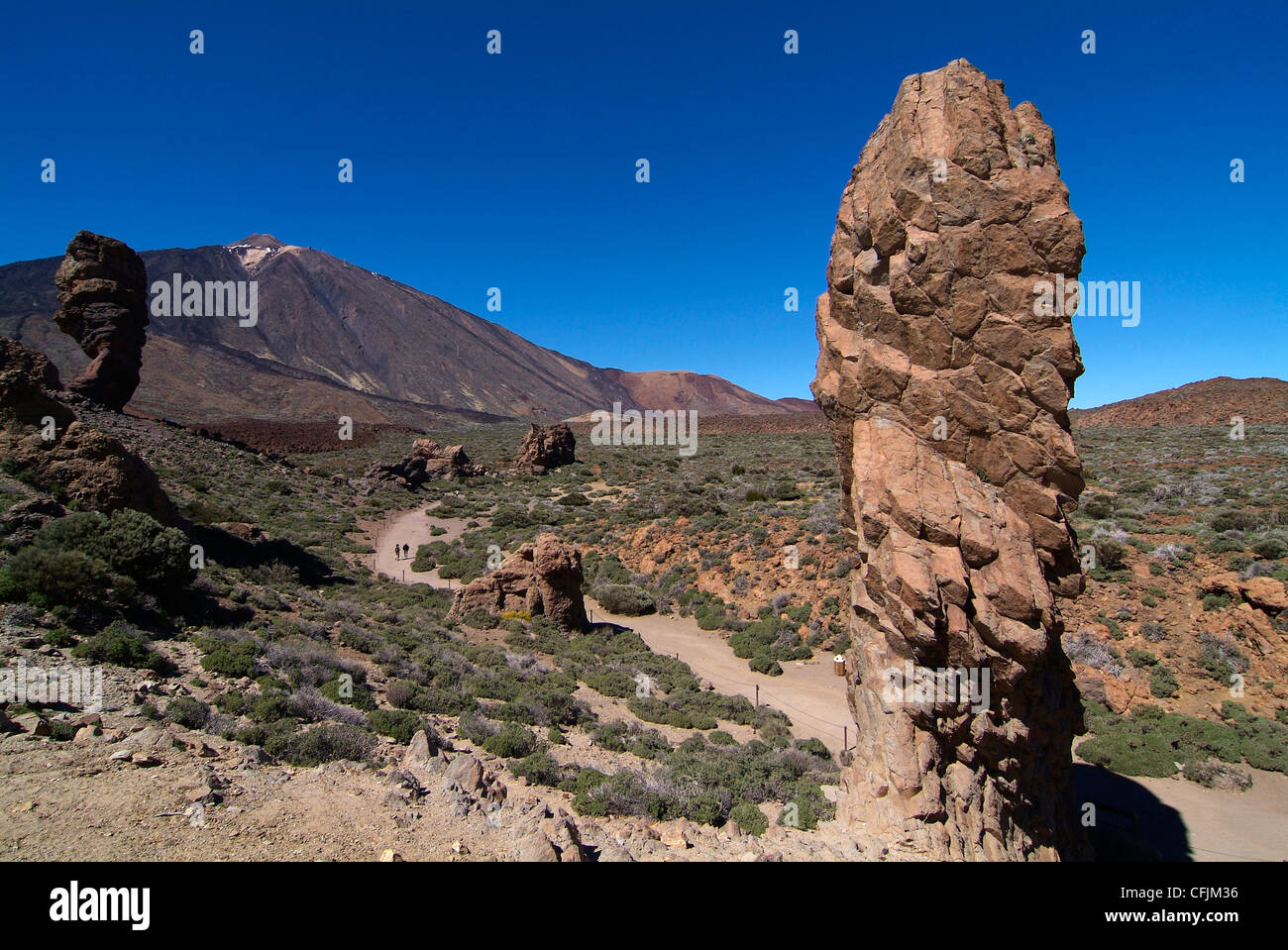 Las Canadas, Parque Nacional del Teide, sito Patrimonio Mondiale dell'UNESCO, Tenerife, Isole Canarie, Spagna, Europa Foto Stock