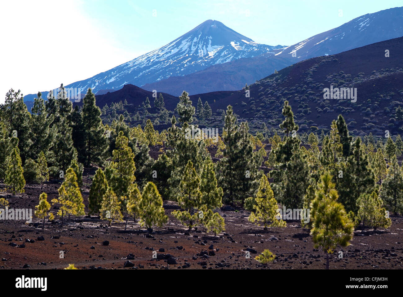 Las Canadas, Parque Nacional del Teide, sito Patrimonio Mondiale dell'UNESCO, Tenerife, Isole Canarie, Spagna, Europa Foto Stock
