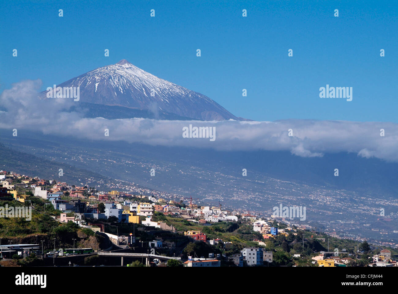 Valle di Orotava e Pico del Teide Tenerife, Isole Canarie, Spagna, Europa Foto Stock
