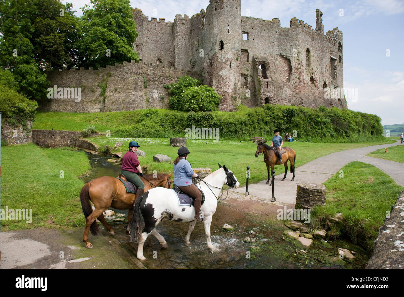 I piloti di cavalli e pony attraverso un ruscello in Laugharne, Camarthenshire, Galles Foto Stock