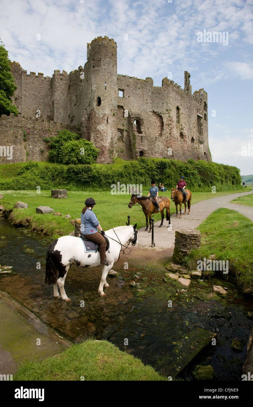I piloti di cavalli e pony attraverso un ruscello in Laugharne, Camarthenshire, Galles Foto Stock