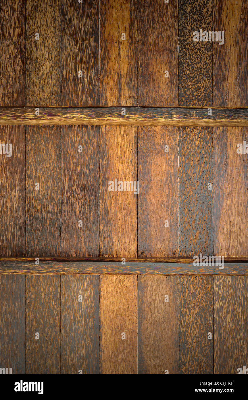 Palmyra Palm parete in legno Foto Stock