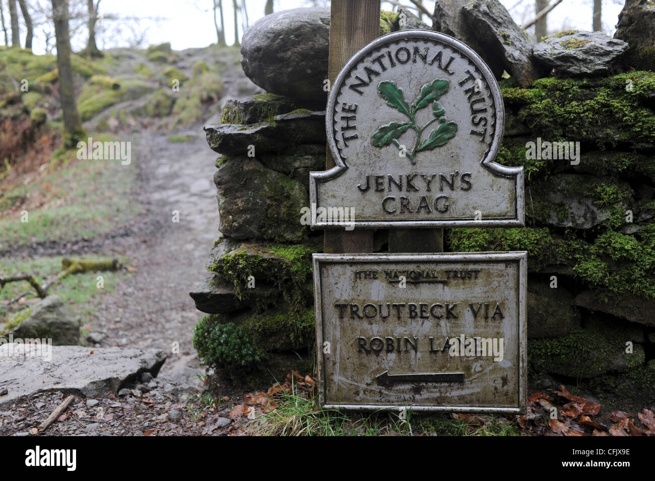 La Jenkyn roccioso affacciato Windemere su un nebbioso giorno umido vicino a Ambleside nel Lake District Cumbria Regno Unito Foto Stock