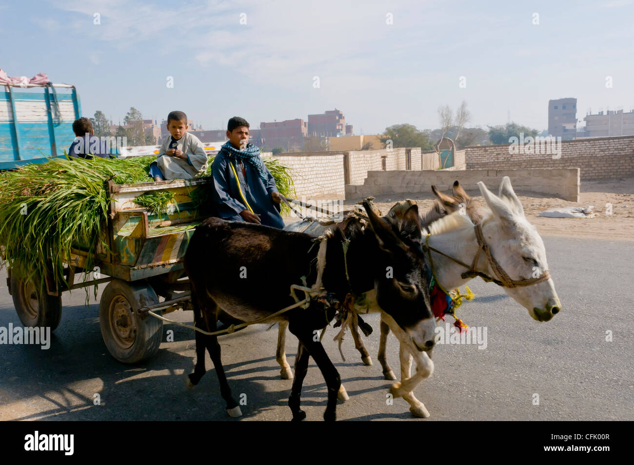 I bambini sul carrello essendo spinto da asini Assiyut Egitto Foto Stock