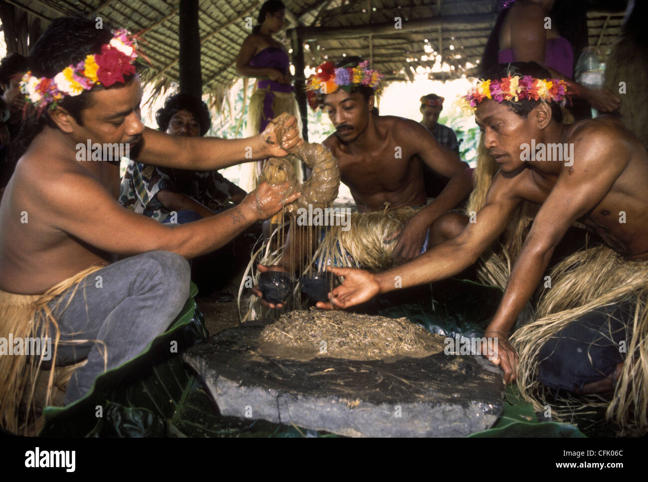 Rendendo sakau, un narcotico blandamente i drink preparati dalle radici di una pianta di pepe (Piper methysticum); Pohnpei, Micronesia. Foto Stock