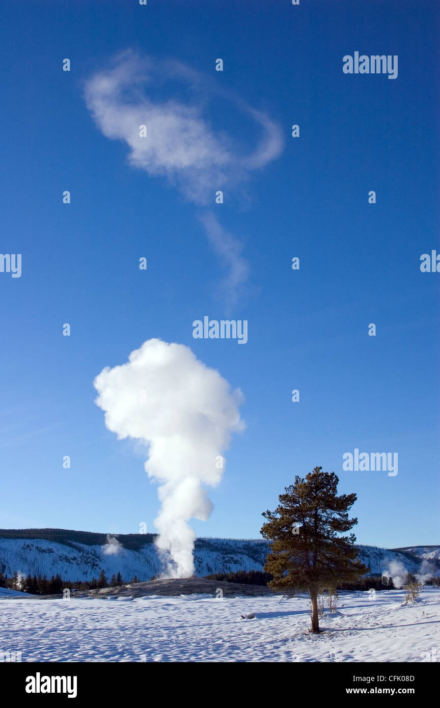 Geyser Old Faithful nubi di vapore su una chiara giornata invernale; il Parco Nazionale di Yellowstone, Wyoming negli Stati Uniti. Foto Stock