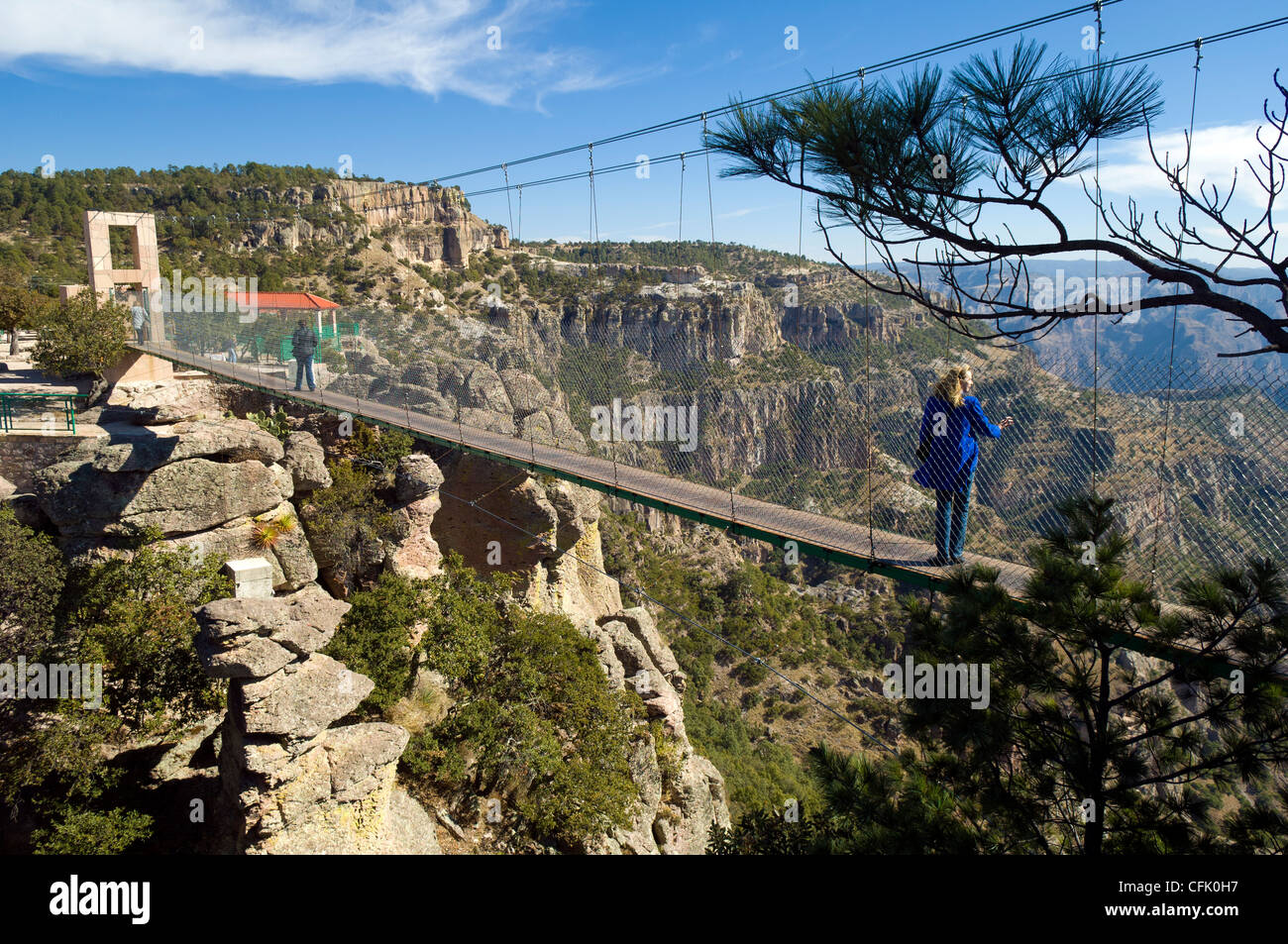 Ponte di sospensione e dal punto di vista che si affaccia su rame Canyon al Divisadero, Chihuahua, Messico. Foto Stock