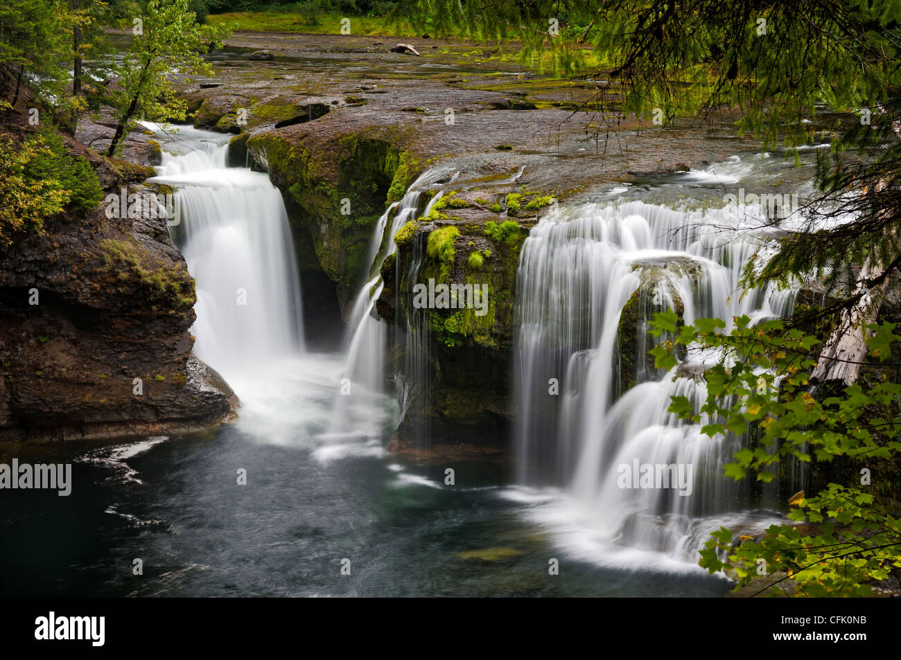 Abbassare Lewis scende, Lewis River, Gifford Pinchot National Forest, Washington. Foto Stock