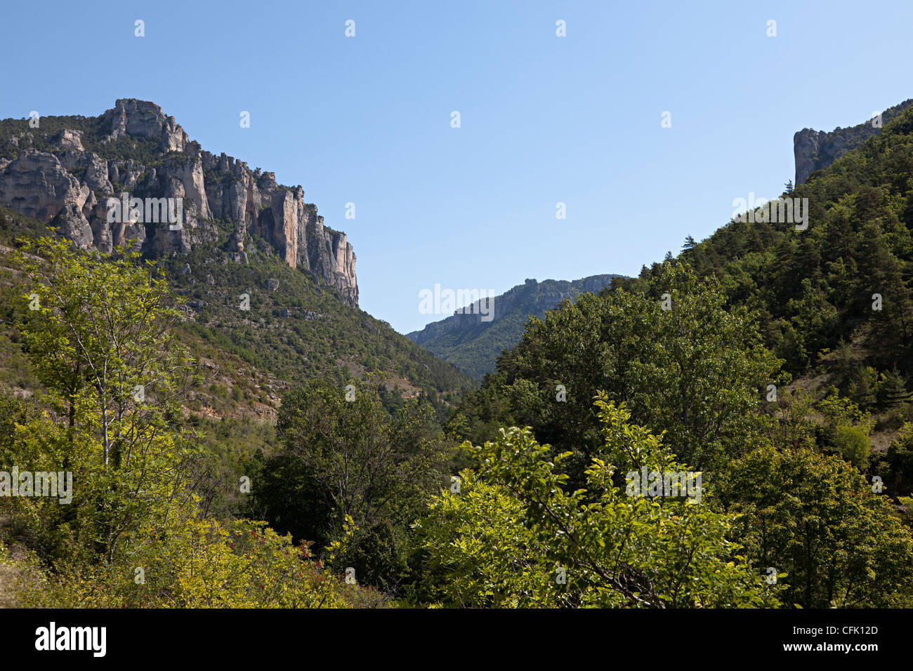 Gorges de la Jonte, Haute Languedoc, Francia Foto Stock
