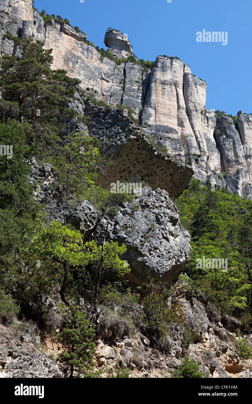 Rocce e dirupi nelle Gorges de la Jonte, Lozère, Cevennes, Francia Foto Stock