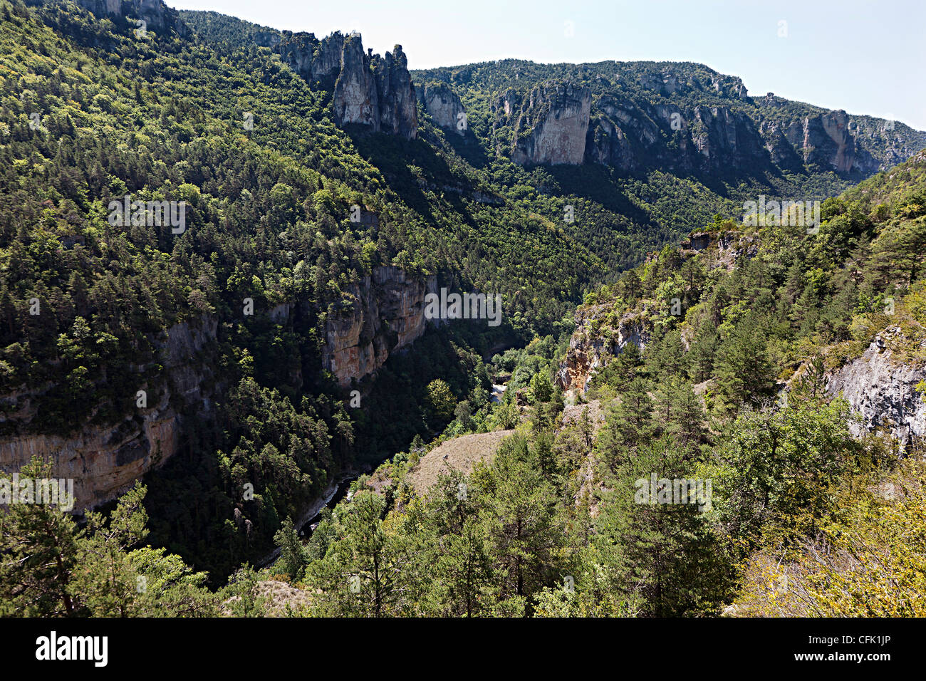 Gorges de la Jonte, Lozère, Cevennes, Francia Foto Stock