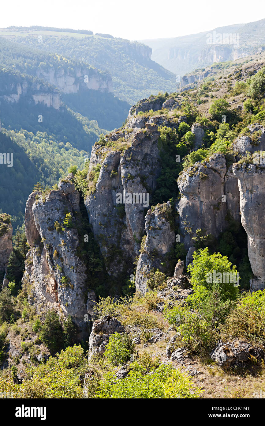 Rocce e dirupi nelle Gorges de la Jonte, Lozère, Cevennes, Francia Foto Stock