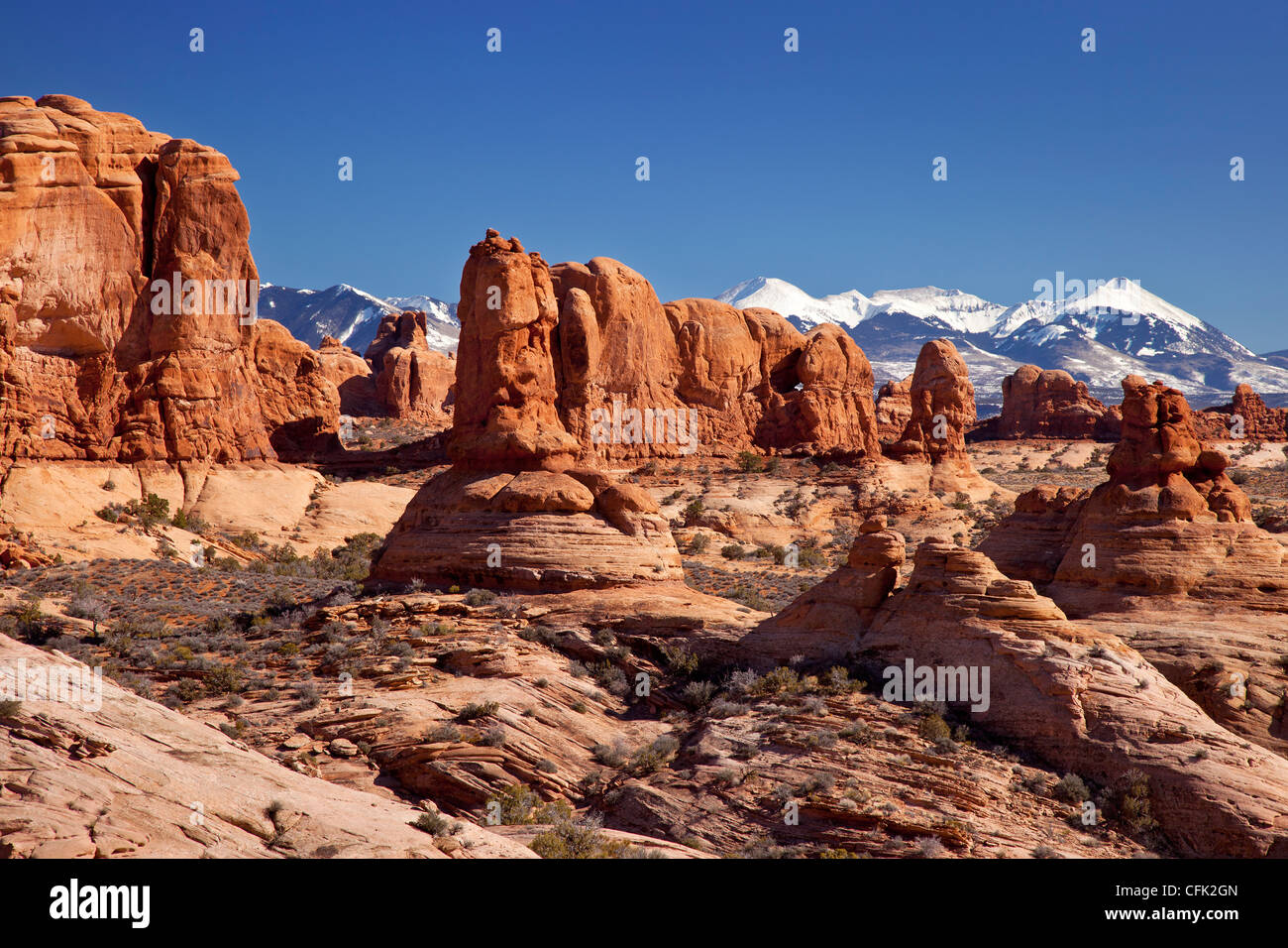 Sfilata di elefanti formazioni rocciose, Arches National Park, Moab Utah, Stati Uniti d'America Foto Stock