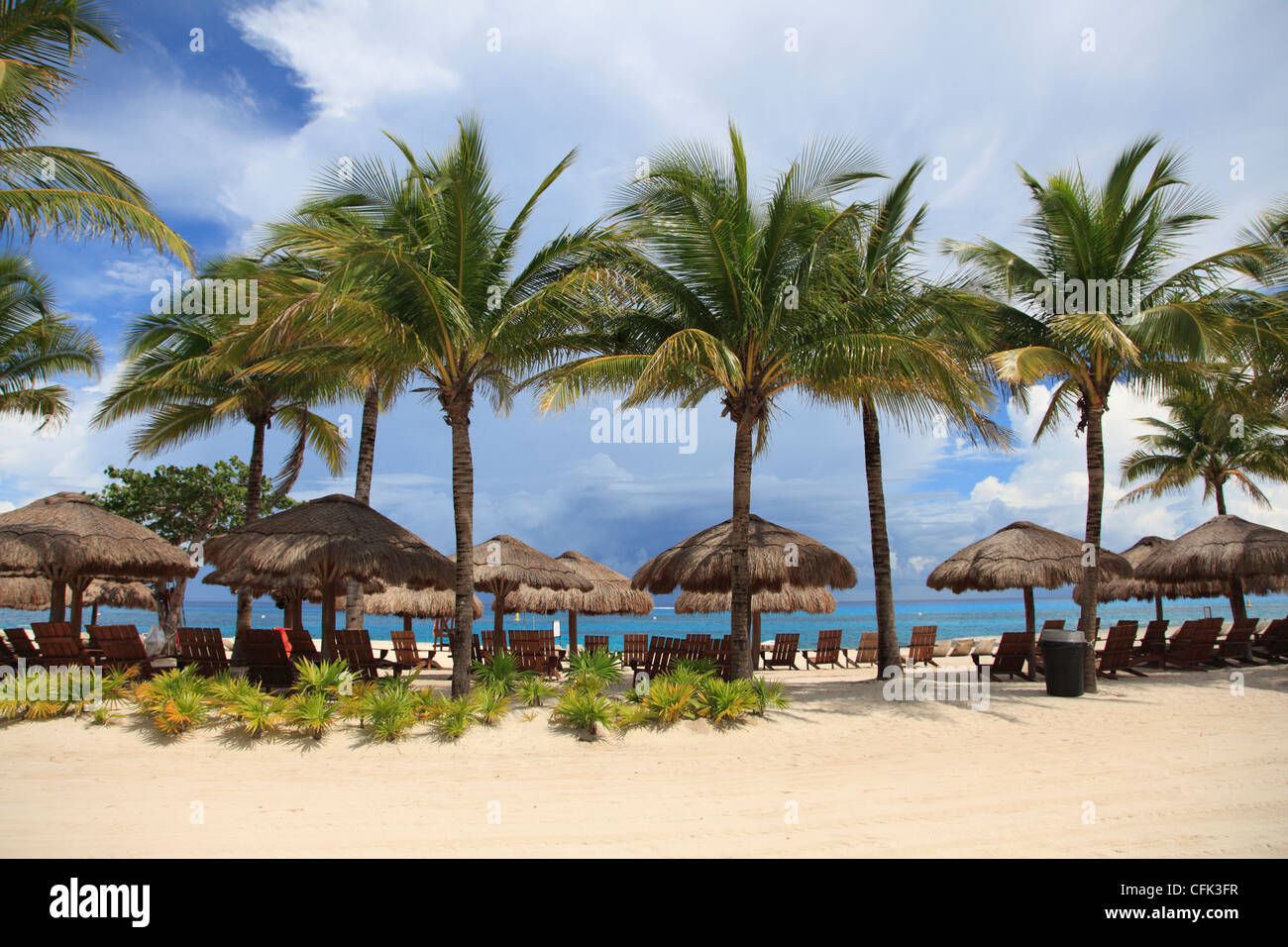 Spiaggia, Chankanaab National Park, Isola di Cozumel, Isla de Cozumel, Quintana Roo, Messico, Caraibi Foto Stock
