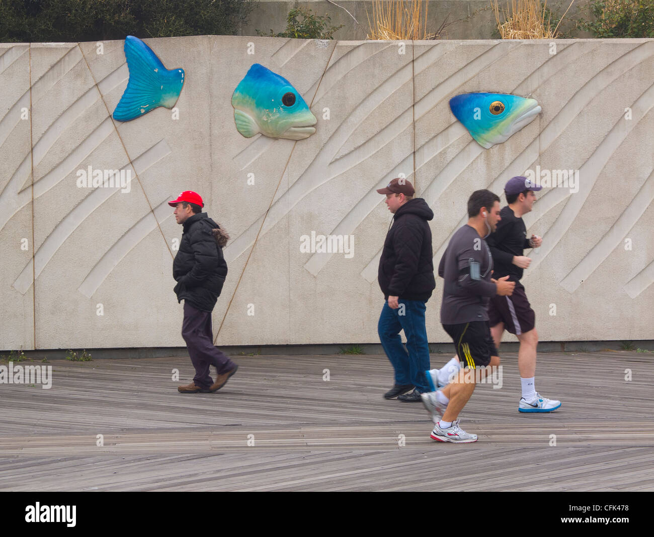 Wildlife Conservation Society di New York acquario di Coney Island Brooklyn New York Foto Stock