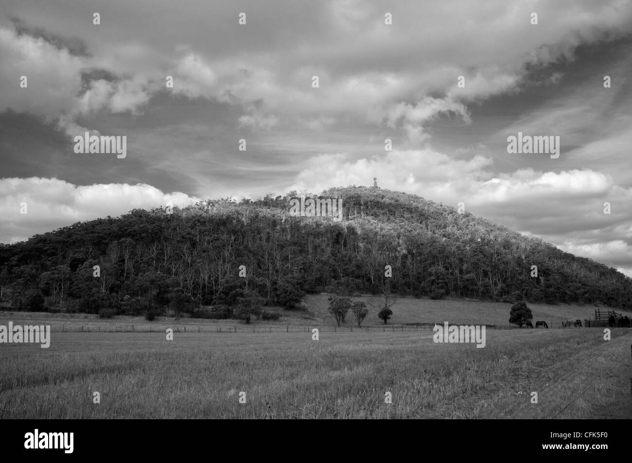 Una collina boscosa con campo aperto e mobile phone tower Foto Stock