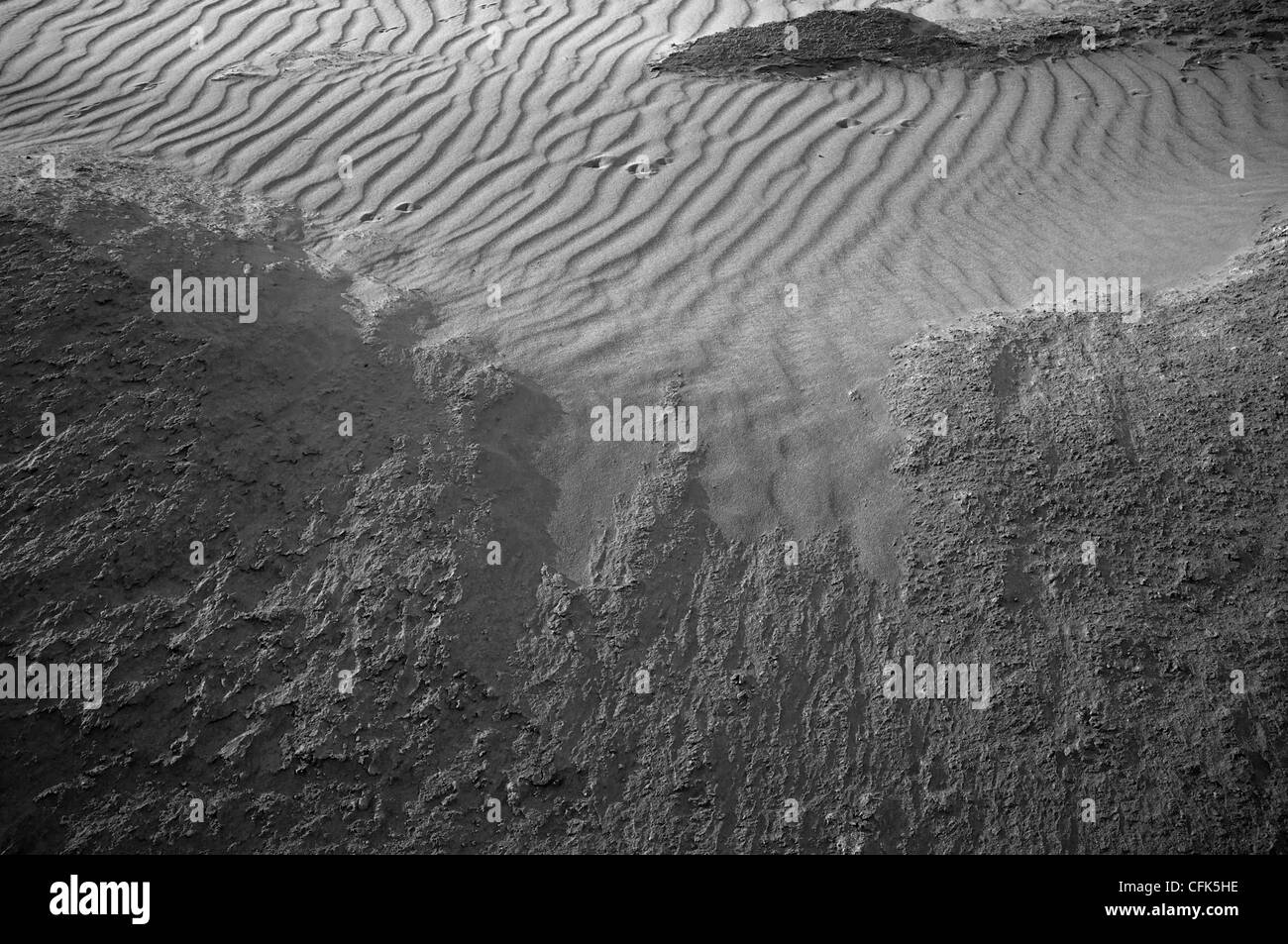 Le tracce degli animali in increspata deserto di sabbia Foto Stock