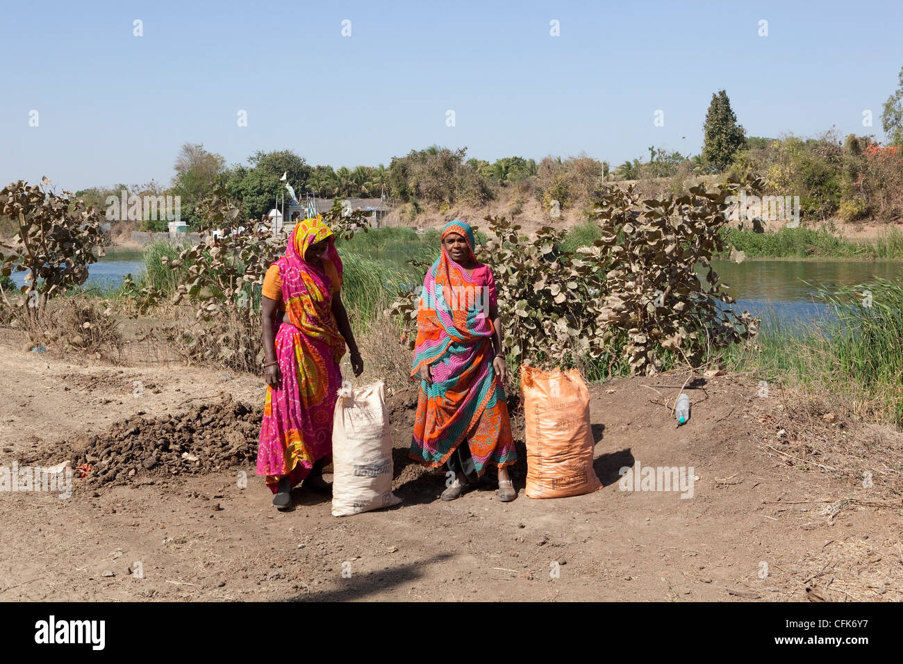 Due Gujarati ladies il riempimento di sacchi con sterco essiccato accanto a una pista sterrata nella zona tampone di Sasan Gir riserva forestale India Foto Stock
