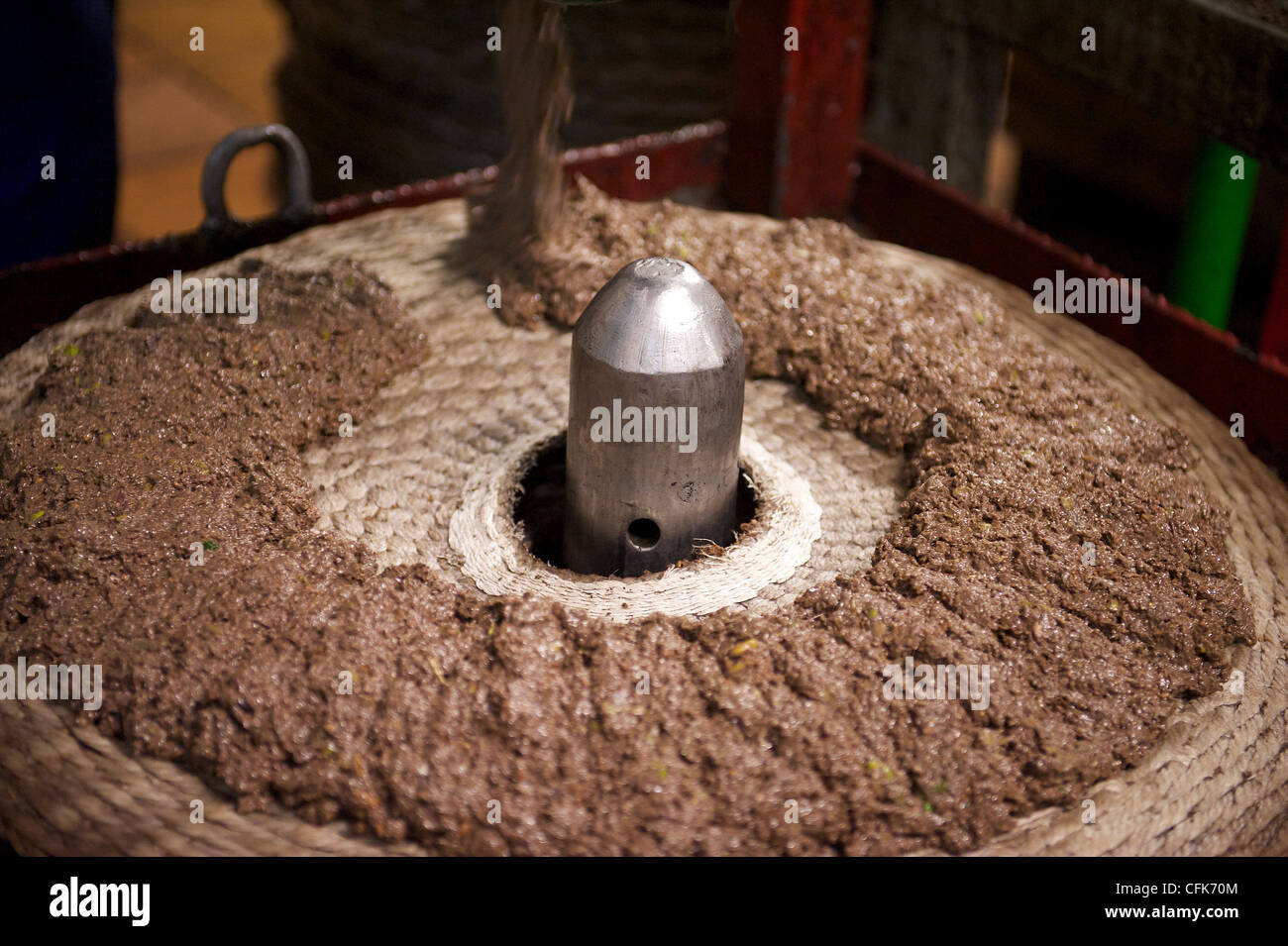 La massa di pasta di olive viene spalmata su stuoie che vengono poi pressati per la produzione di olio di oliva, Benifallet, Tarragona, Spagna Foto Stock