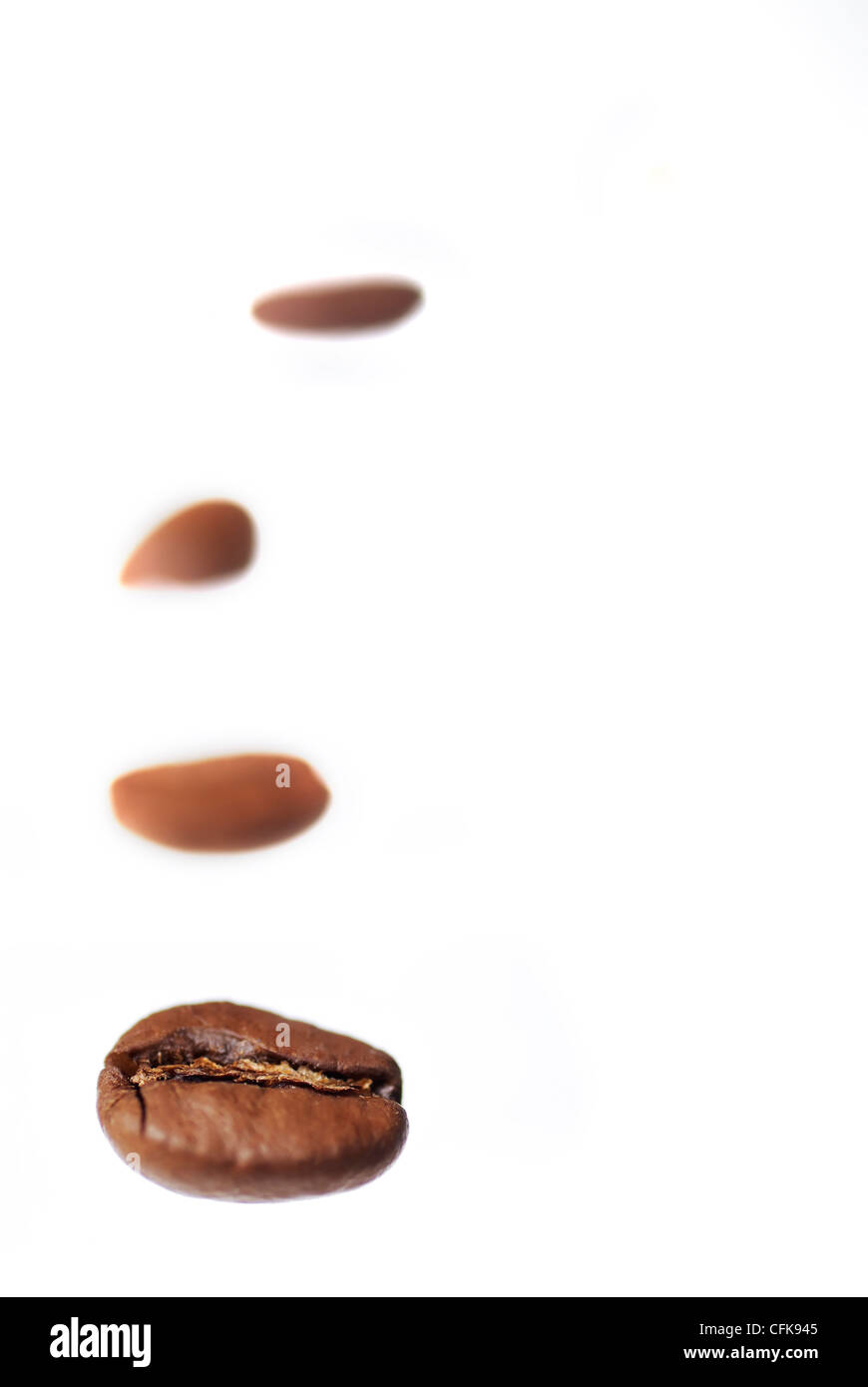 Riga di arabica coffee beans su sfondo bianco. Foto Stock