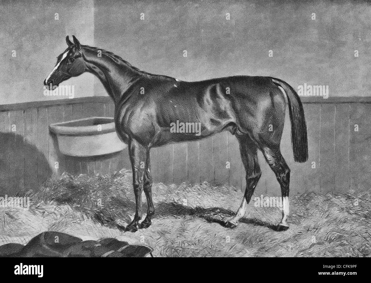 Pirro il primo vincitore del premio Epsom Derby, 1846 Foto Stock