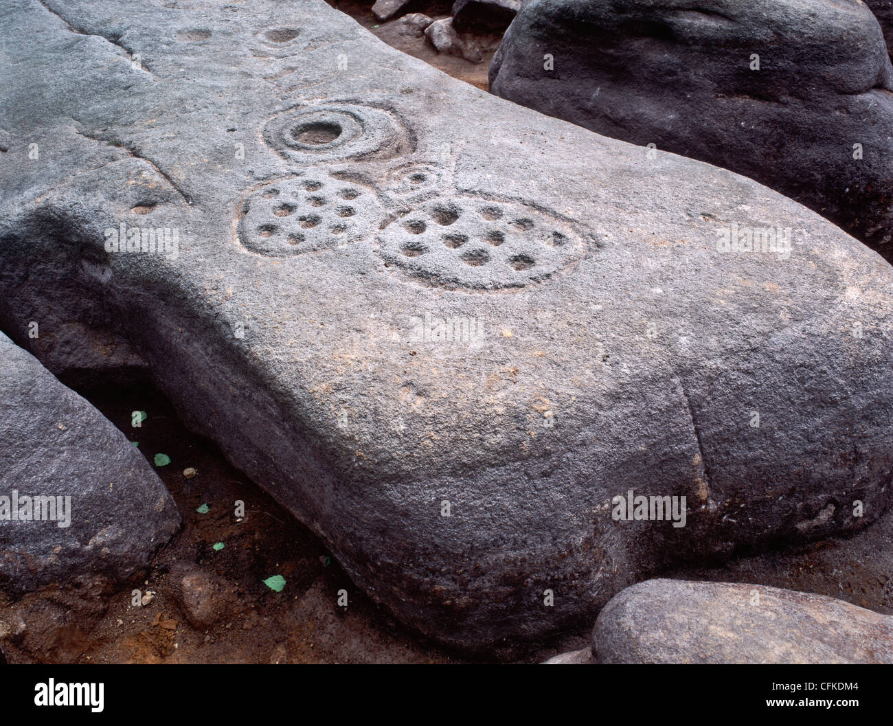 Il neolitico o età del Bronzo 'cup e ring' marcature sul boulder a Gardom's Edge, Parco Nazionale di Peak District, Derbyshire, Inghilterra Foto Stock