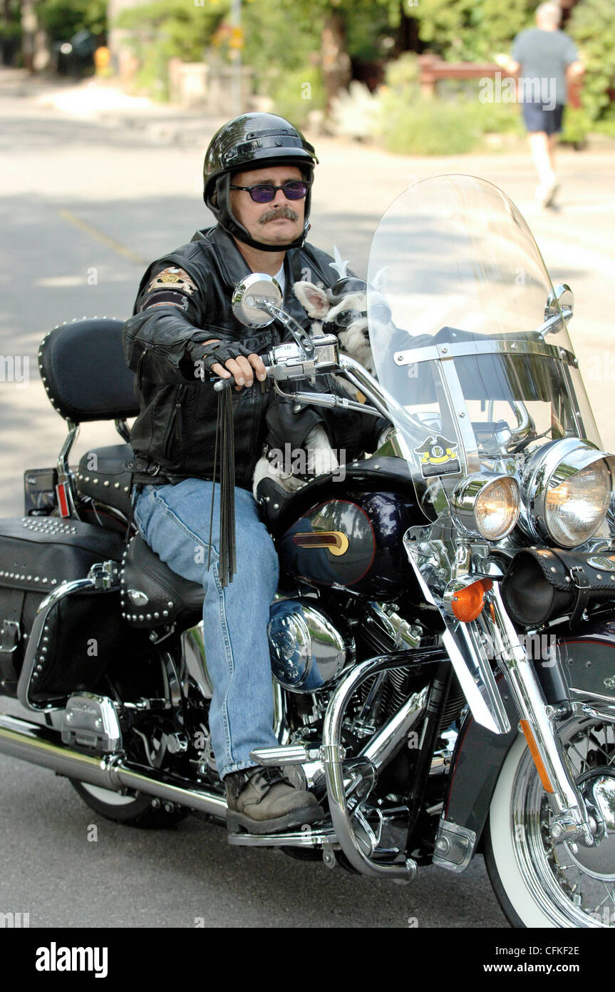 Biker l uomo e il suo cane in moto Foto Stock