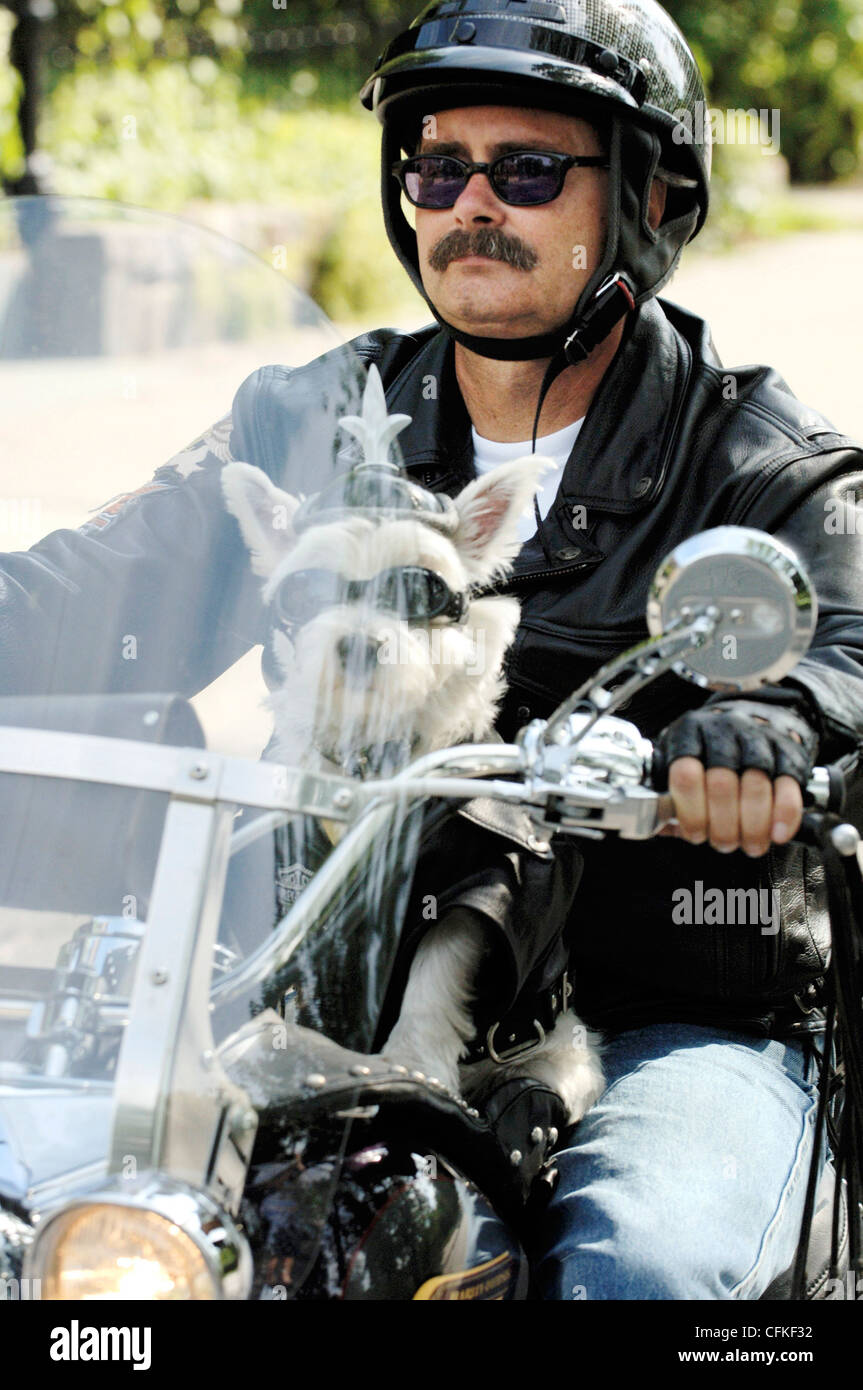 Biker l uomo e il suo cane in moto Foto Stock
