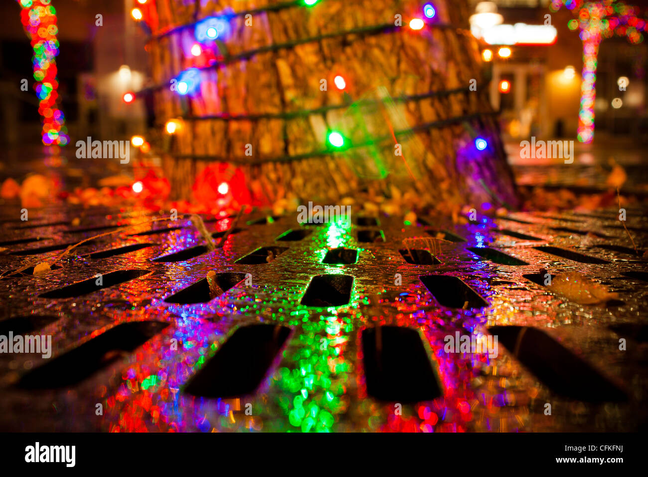 Le luci di Natale riflettere su strada bagnata in Mockingbird Station, Dallas. Foto Stock