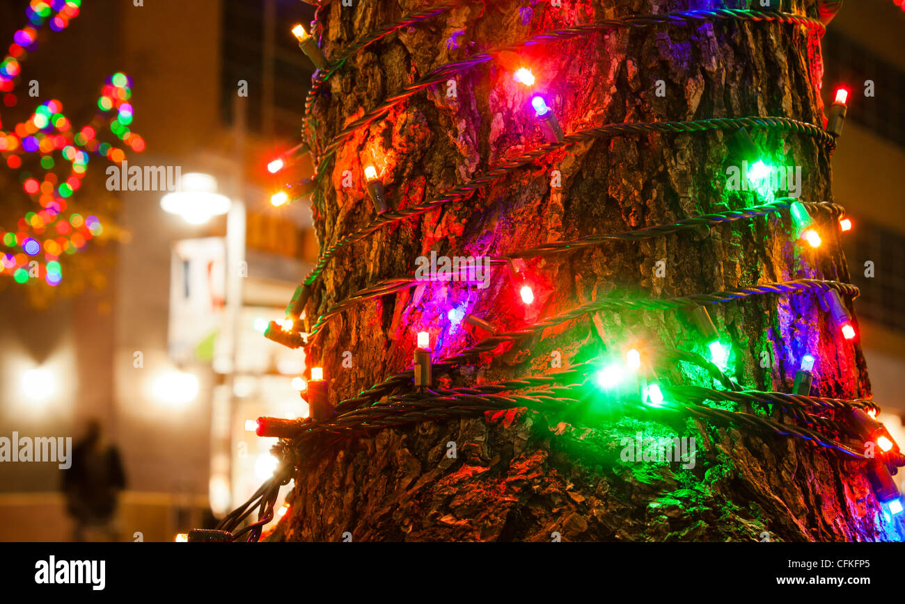 Colorate luci di Natale avvolto intorno ad albero in Mockingbird Station, Dallas. Foto Stock