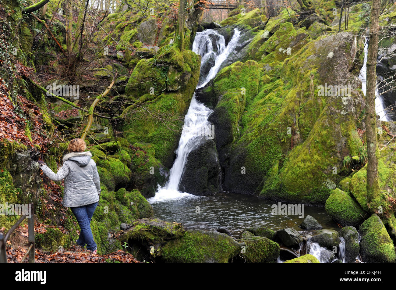 Turista femminile, scendendo da un percorso scivoloso vicino a Stock Ghyll vigore cascate Ambleside Lake District Cumbria Regno Unito Foto Stock