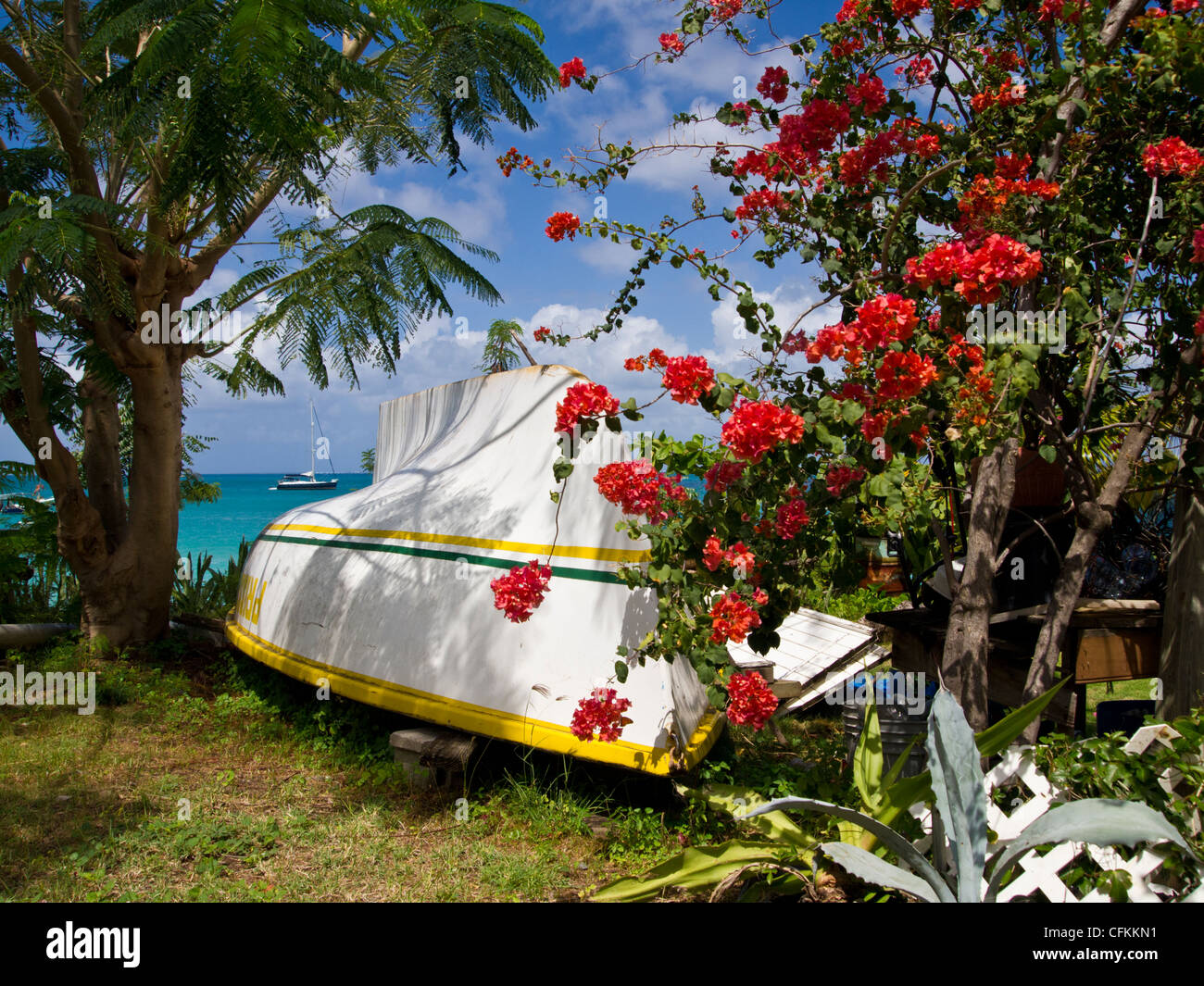 White riga barca sulla spiaggia con fiori di colore rosso a Grand Case San Martin Foto Stock