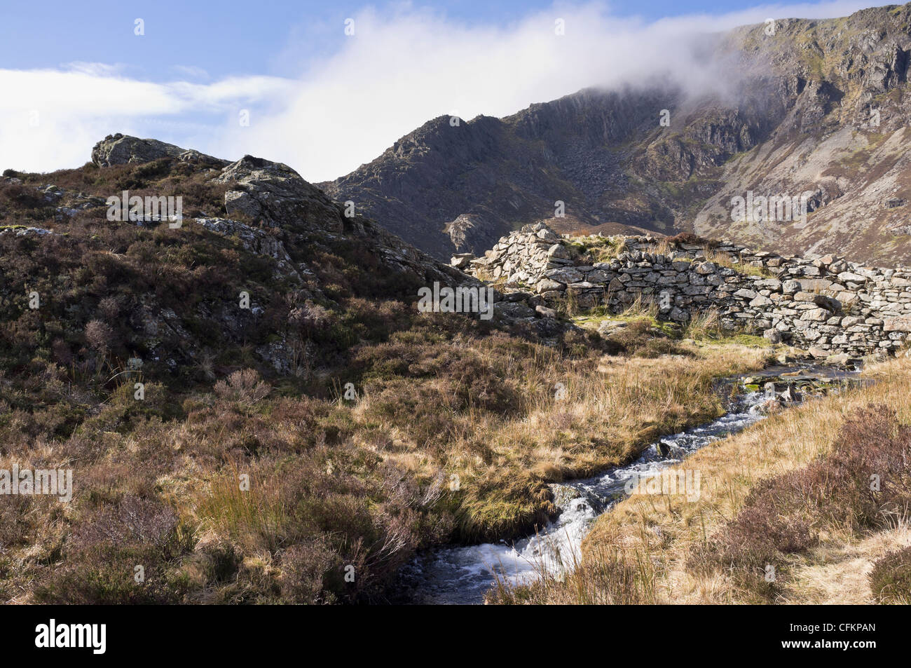 Vista Moel Siabod mountain e Daear Ddu cresta est dal basso Llyn y Foel in Cwm Foel Snowdonia National Park North Wales UK Foto Stock