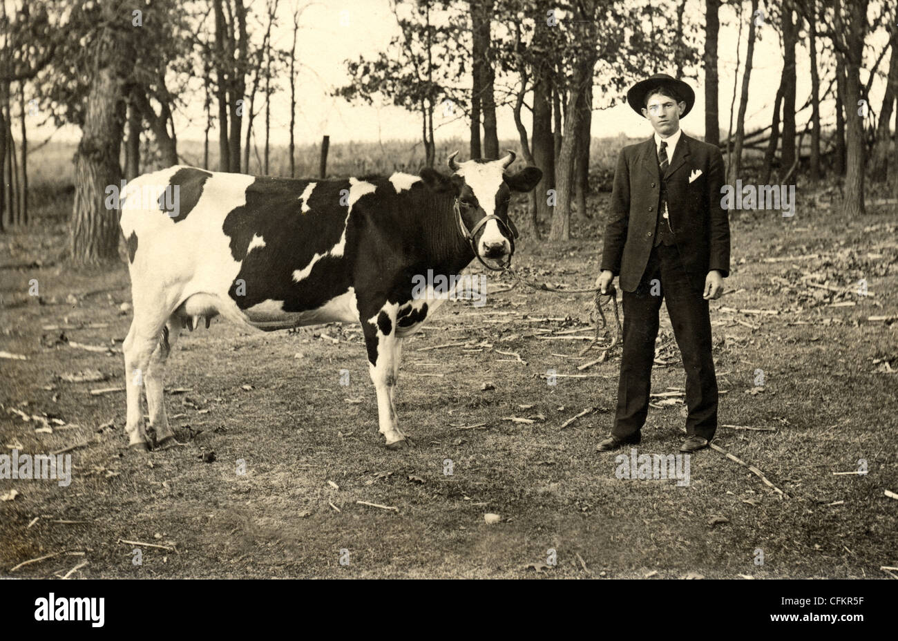 Vacca Holstein & giovane proprietario Foto Stock