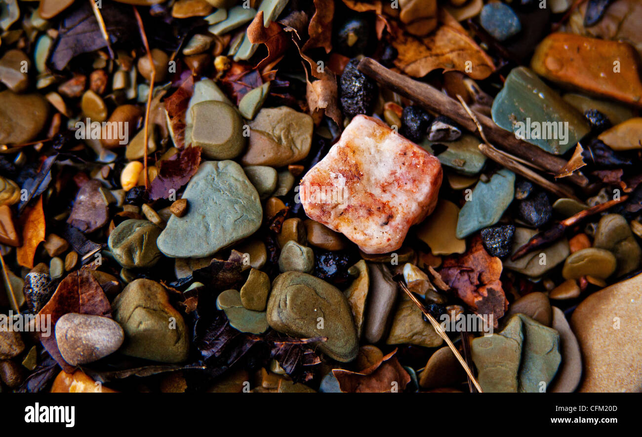 Wet shiny spiaggia spiaggia di roccia closeup con ciottoli di granito Foto Stock