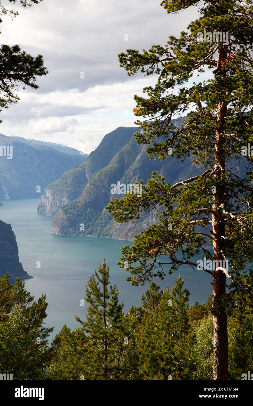 Aurlandsfjorden vicino a Aurlandsvangen, Sogn og Fjordane, Norvegia, Scandinavia, Europa Foto Stock