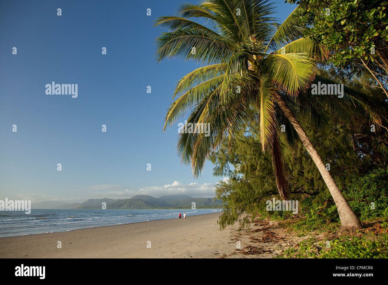 Quattro miglia di spiaggia con palme di cocco, Port Douglas, Queensland, Australia Pacific Foto Stock