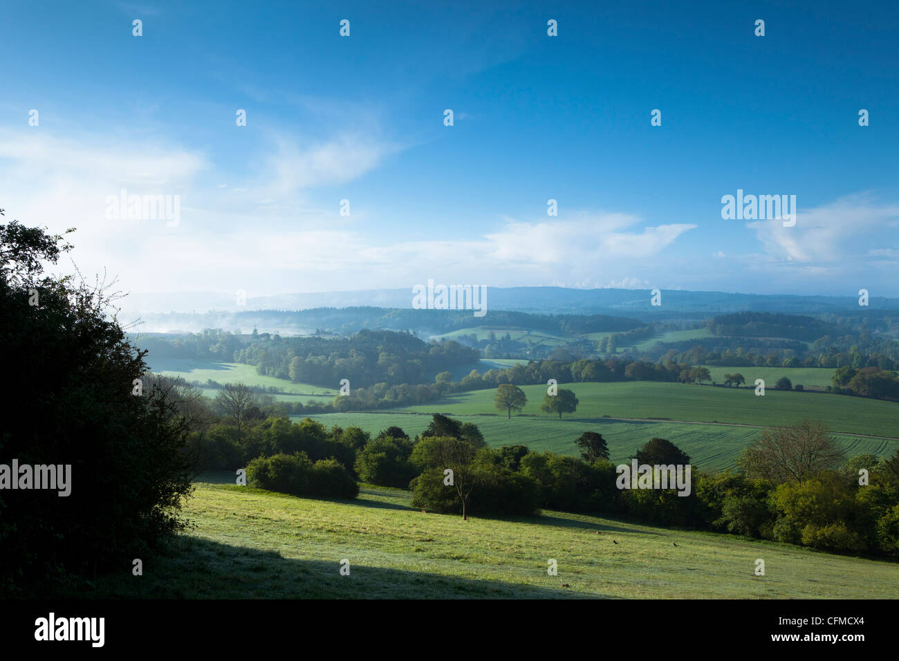 Newlands Corner visualizza, nei pressi di Guilford, Surrey Hills, North Downs, Surrrey, England, Regno Unito, Europa Foto Stock