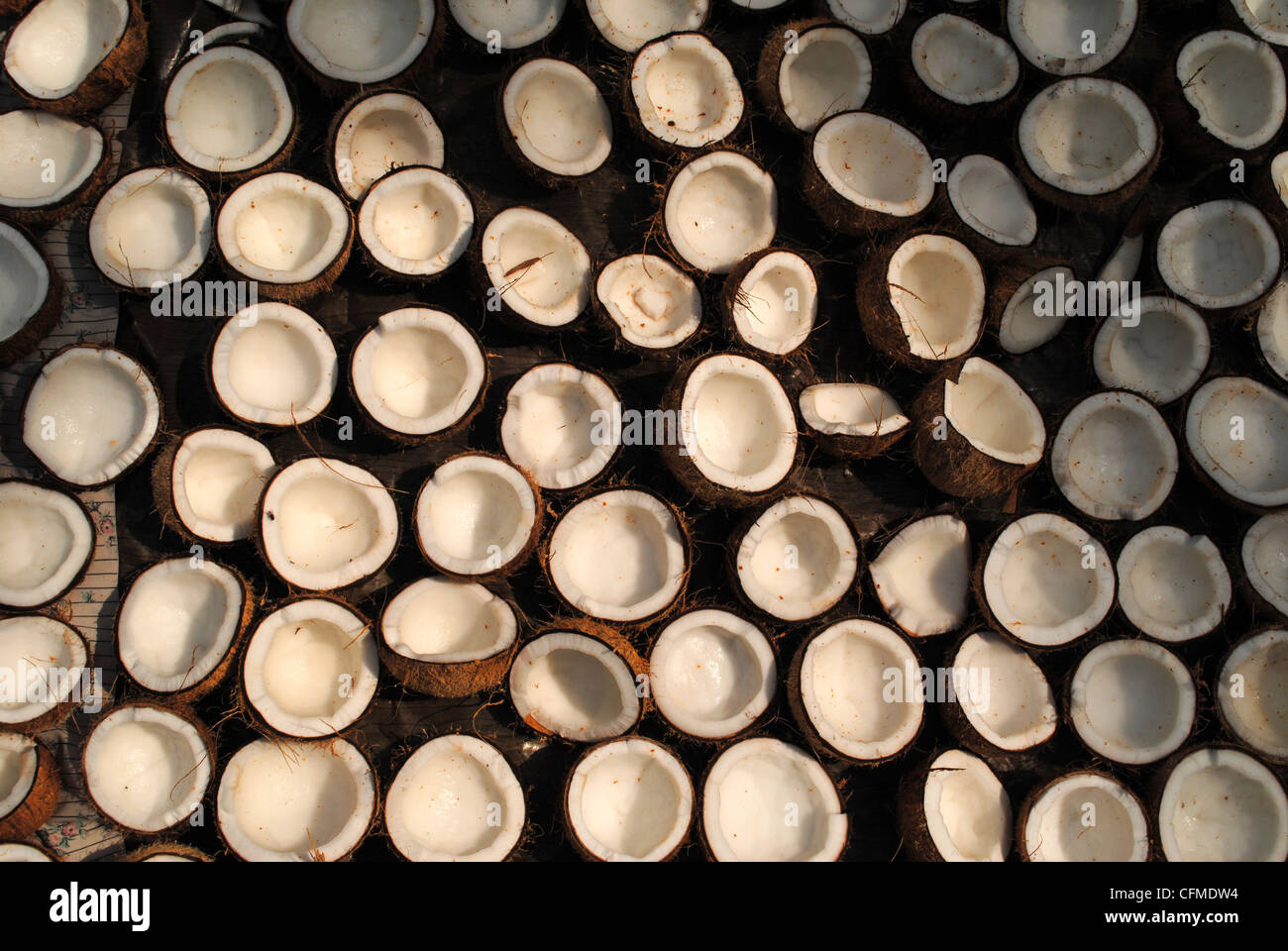 Copra, essiccato del Kernel di cocco Foto Stock