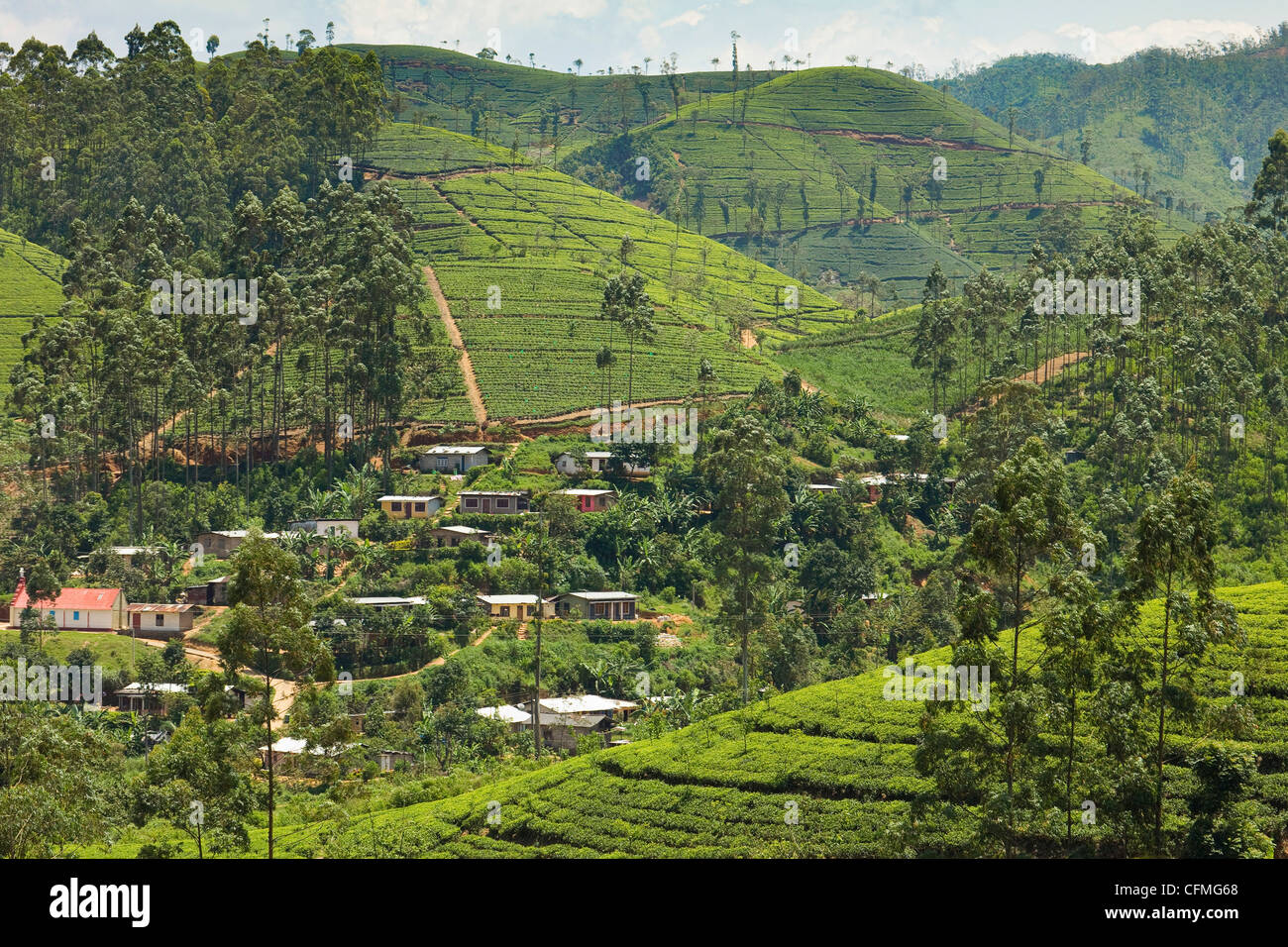 Villaggio in mezzo a piantagioni di tè in paese collinare tra Hatton e Nuwara Eliya, Highlands Centrali, Sri Lanka, Asia Foto Stock