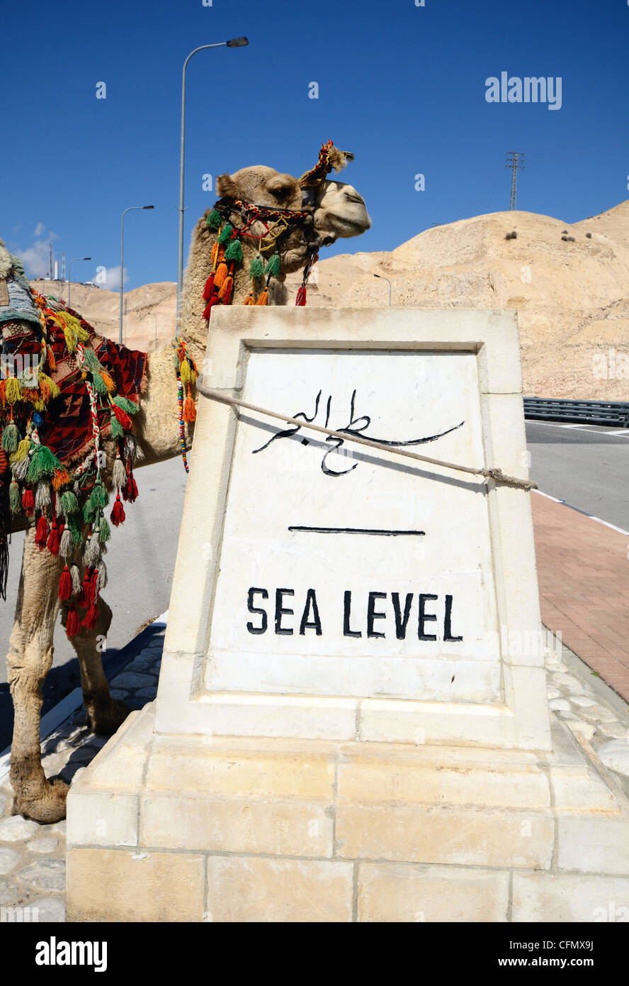 Camel agganciati ad un segno che indica il livello del mare nei pressi del Mar Morto in Israele Foto Stock
