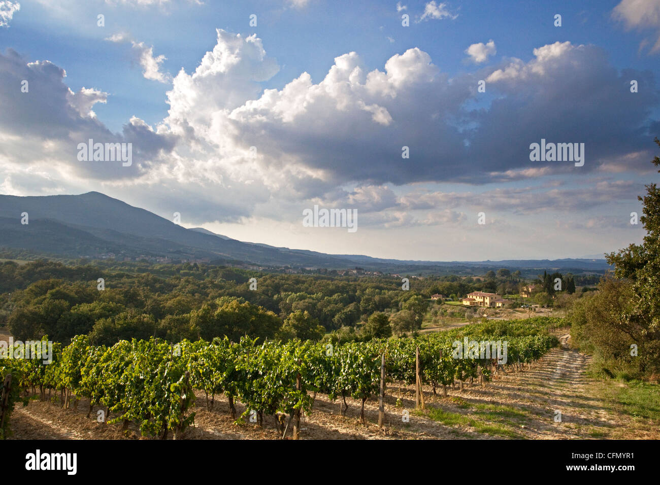 Una villa toscana adagiata nella propria valle circondata da vigneti sotto un cielo imponente, con il Monte Cetona in background Foto Stock
